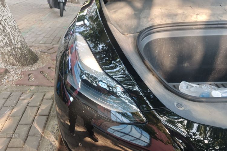 Tesla Model Y 2023 #8 Tesla Model Y 2023 car image #8