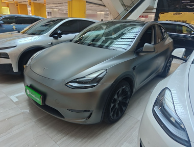 Tesla Model Y 2021 Tesla Model Y 2021 car image