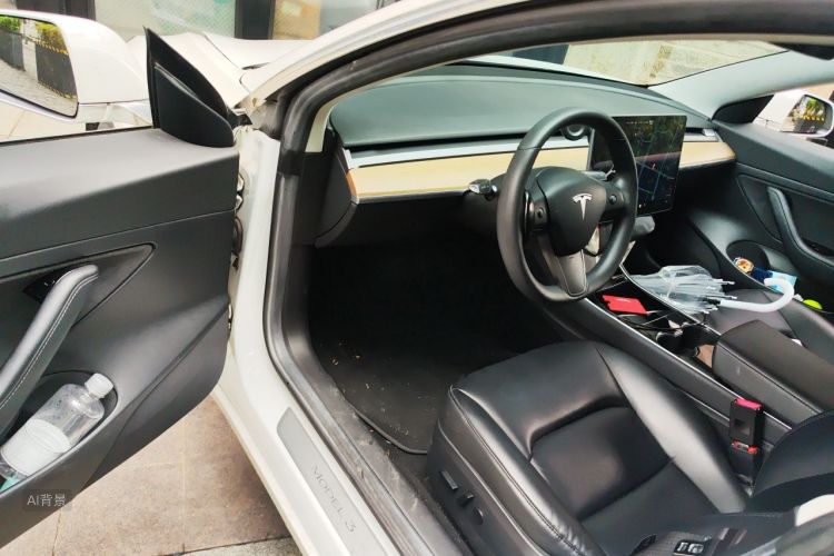 Tesla Model 3 2020 car image #18