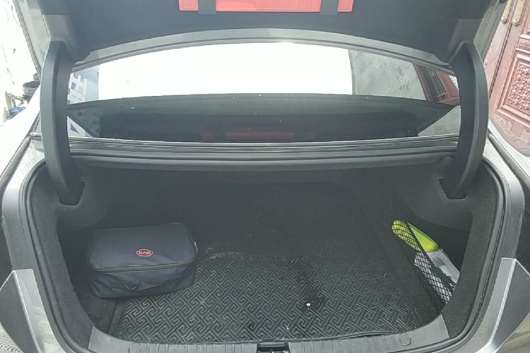 BYD Han 2020 #21 BYD Han 2020 immagine di auto #21