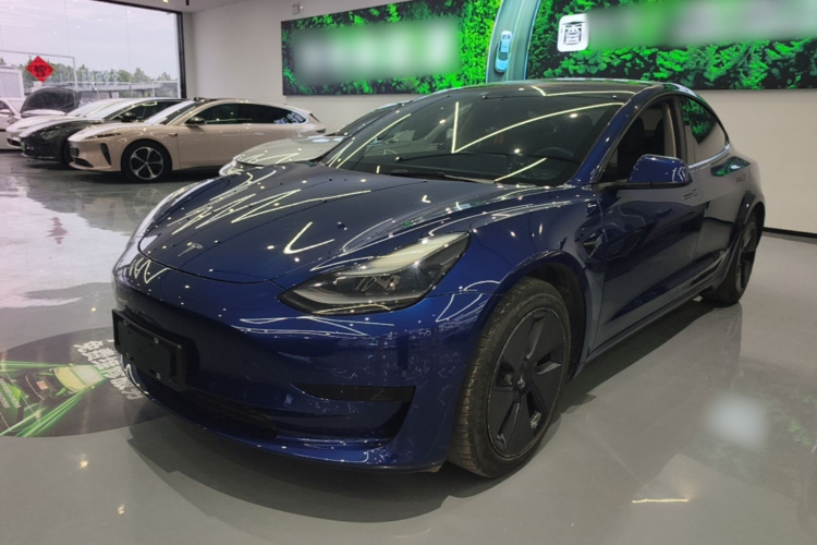 Tesla Model 3 2021 #2 Tesla Model 3 2021 car image #2