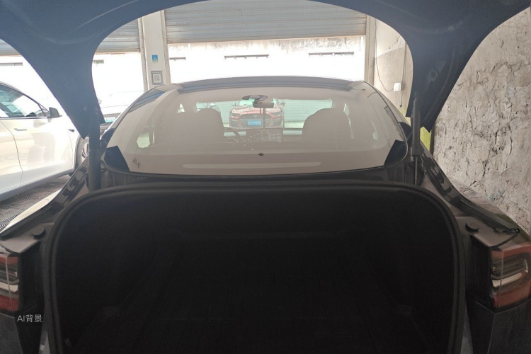Tesla Model 3 2021 car image #21