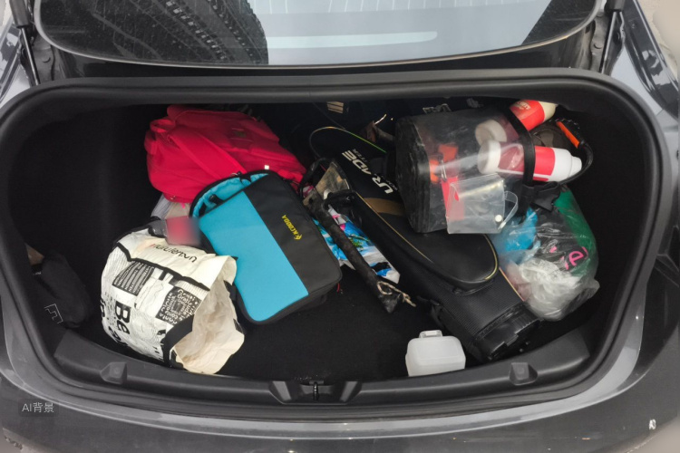 Tesla Model 3 2020 car image #21