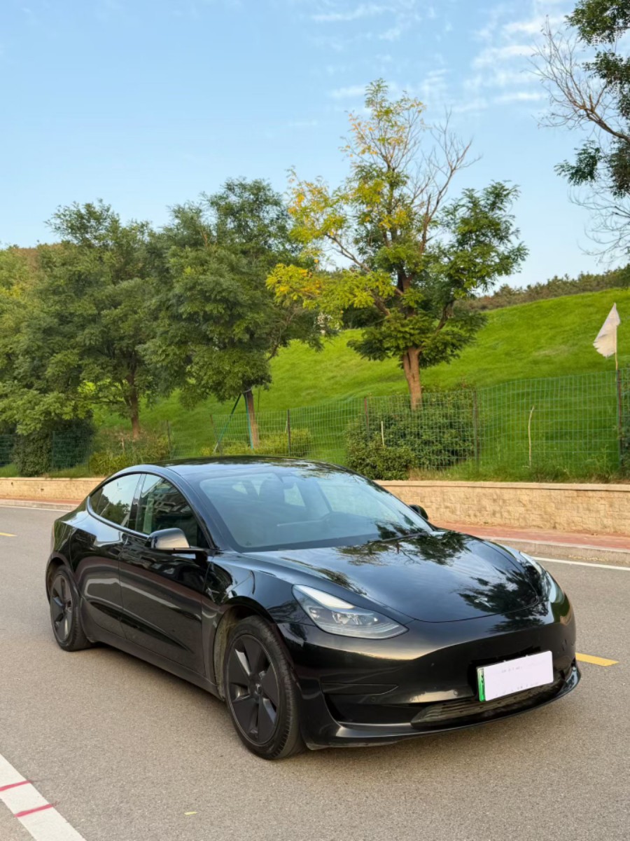 Tesla Model 3 2021 car image 