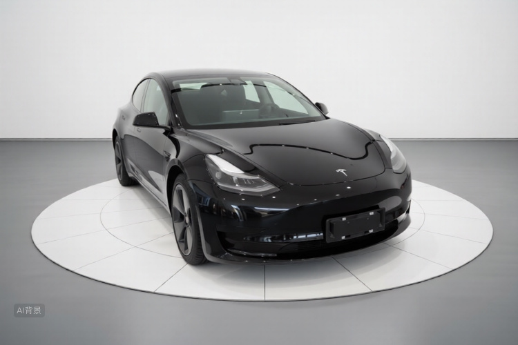 Tesla Model 3 2022 immagine di auto #4