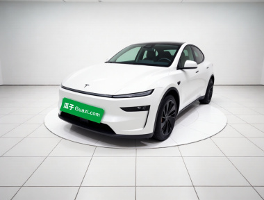 Tesla Model Y 2025 car image 