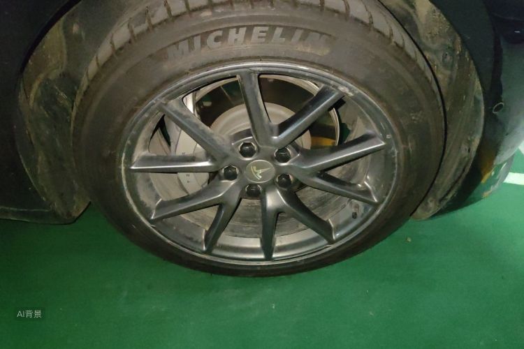 Tesla Model 3 2021 imagem de carro #9