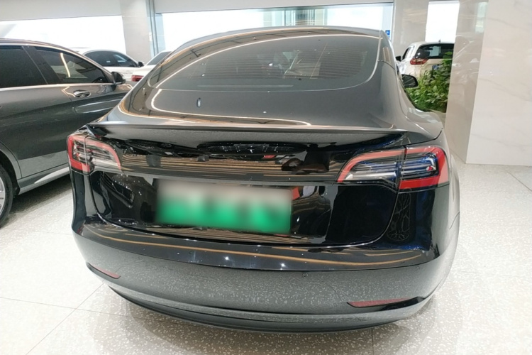 Tesla Model 3 2022 car image #6