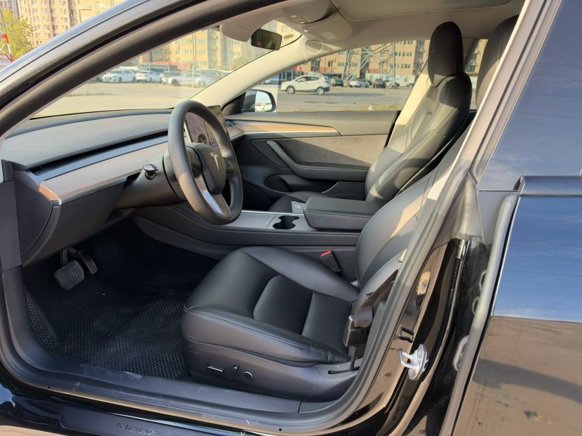 Tesla Model 3 2023 imagem de carro #7