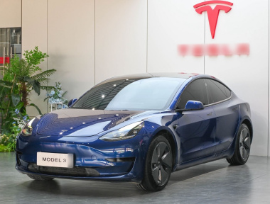 Tesla Model 3 2021 Tesla Model 3 2021 car image