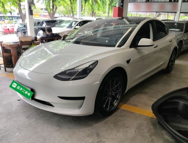 Tesla Model 3 2022 Tesla Model 3 2022 car image