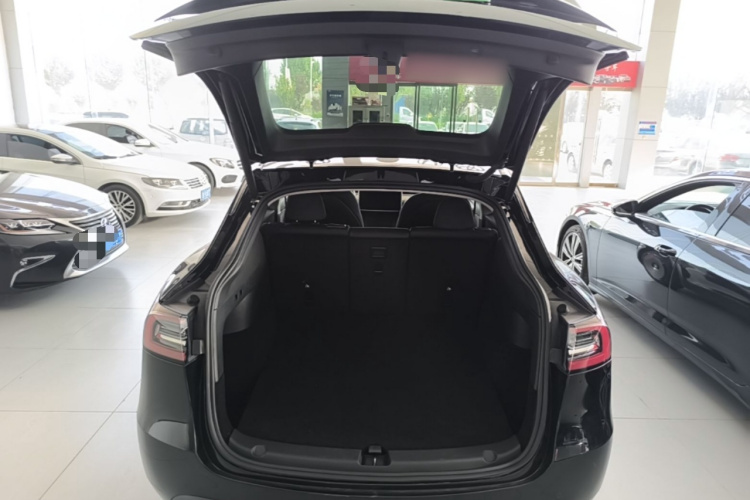 Tesla Model Y 2023 car image #19