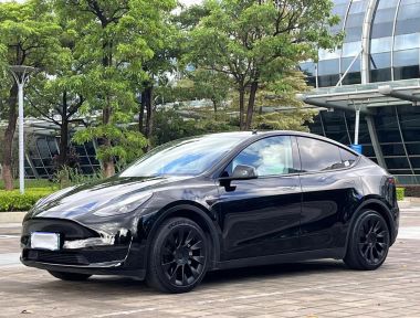Tesla Model Y 2023 car image 