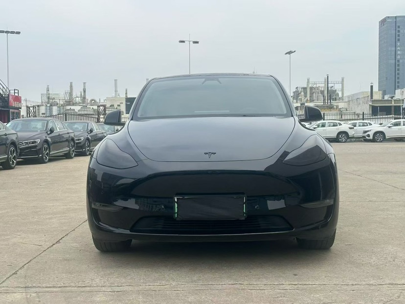 Tesla Model Y 2021 Tesla Model Y 2021 car image