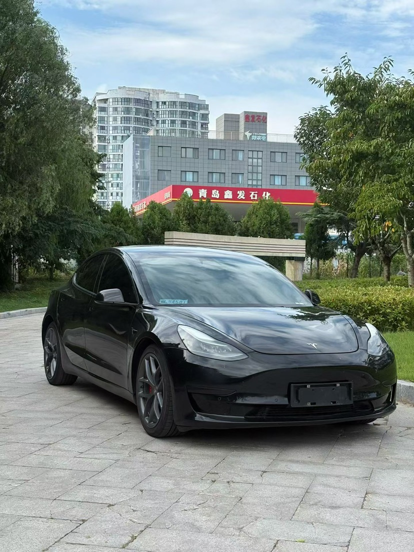 Tesla Model 3 2021 #8 Tesla Model 3 2021 car image #8