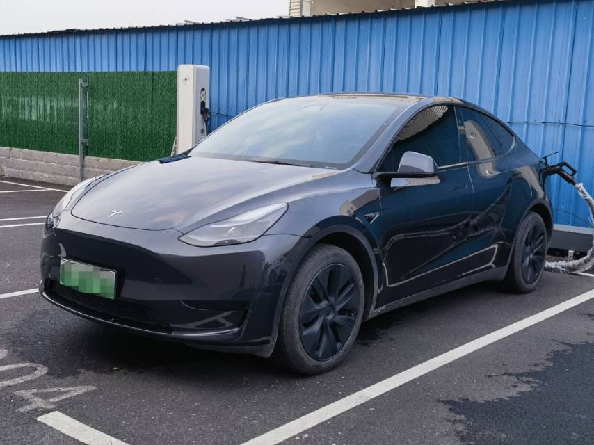 Tesla Model Y 2024 car image 