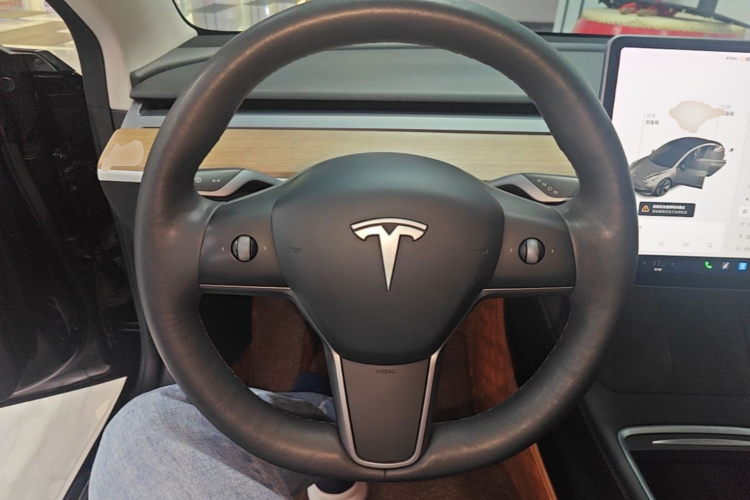 Tesla Model 3 2021 car image #11