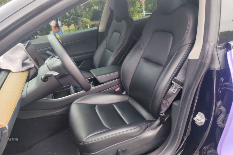 Tesla Model 3 2020 car image #17