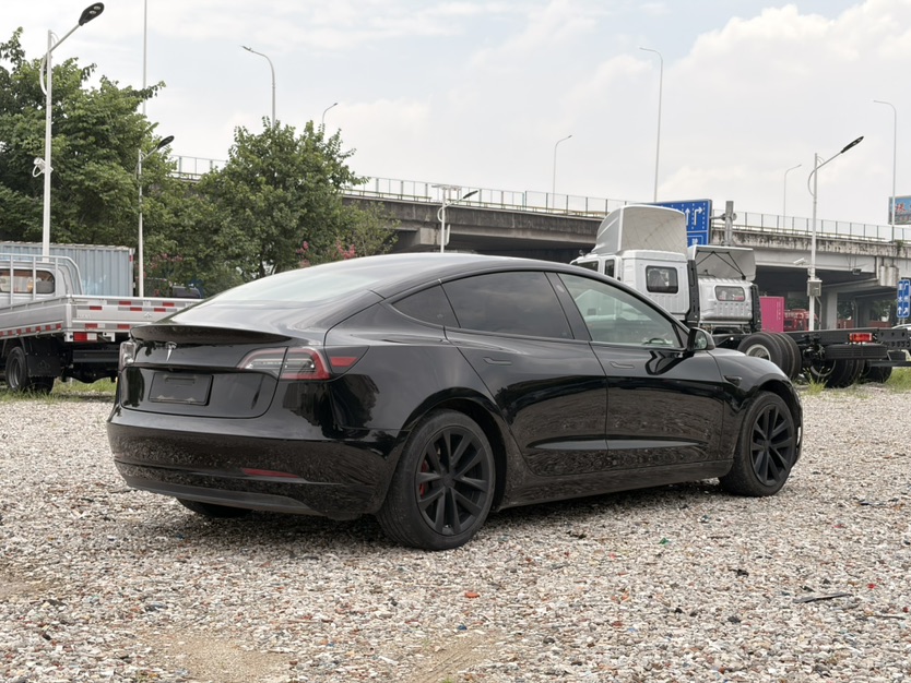 Tesla Model 3 2020 car image #4