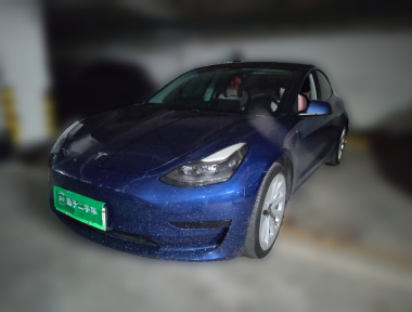 Tesla Model 3 2020 Tesla Model 3 2020 car image