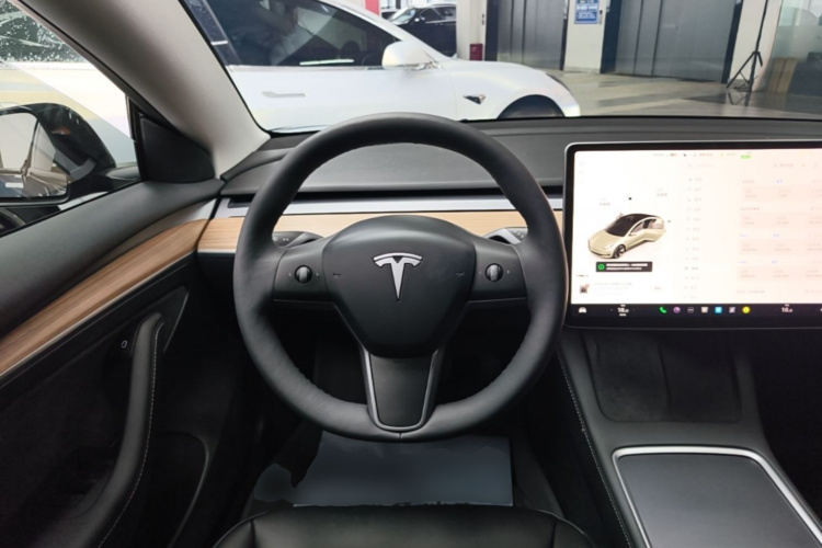 Tesla Model 3 2023 car image #11