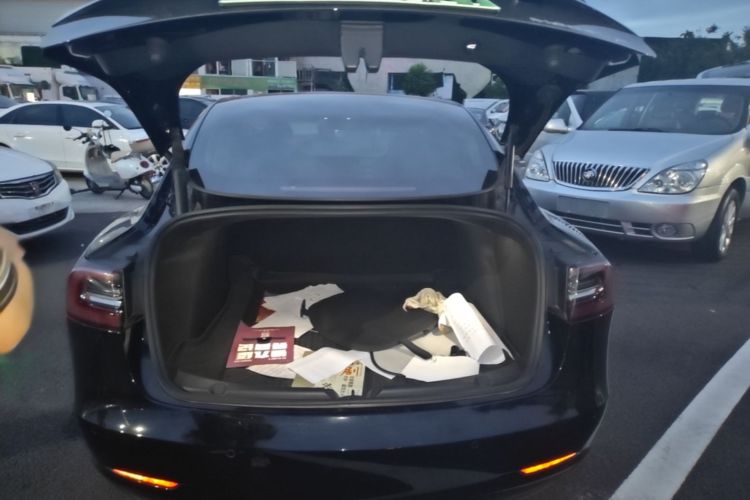 Tesla Model 3 2021 #19 Tesla Model 3 2021 car image #19