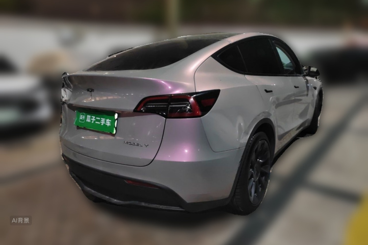 Tesla Model Y 2021 car image #7