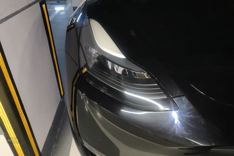 Tesla Model Y 2021 car image #8