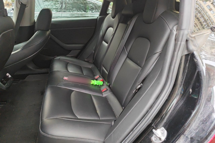 Tesla Model 3 2022 car image #14