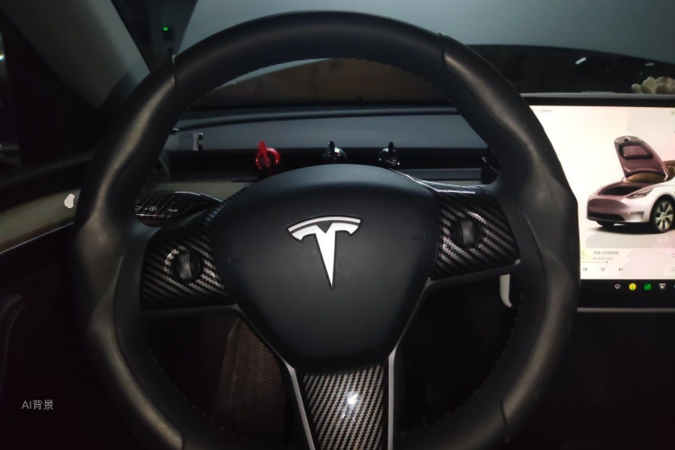 Tesla Model Y 2022 car image #12