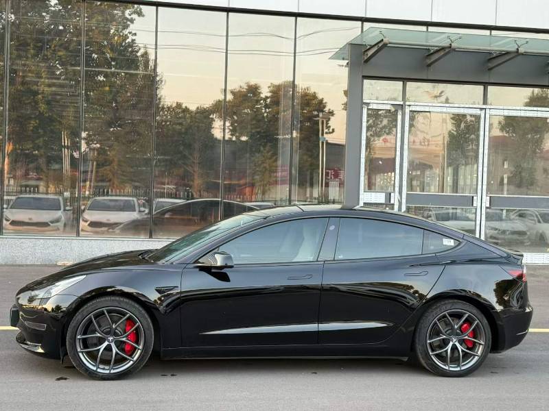 Tesla Model 3 2022 #3 Tesla Model 3 2022 car image #3
