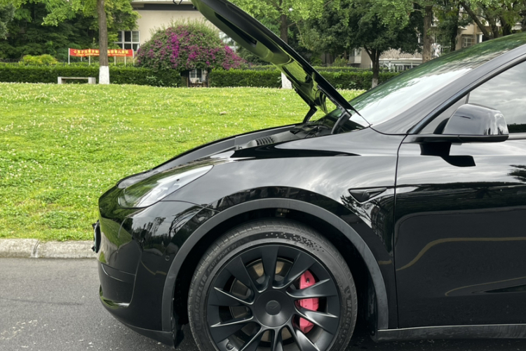 Tesla Model Y 2022 car image #6