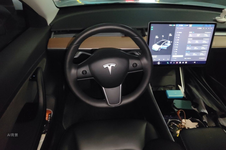 Tesla Model 3 2020 #12 Tesla Model 3 2020 car image #12