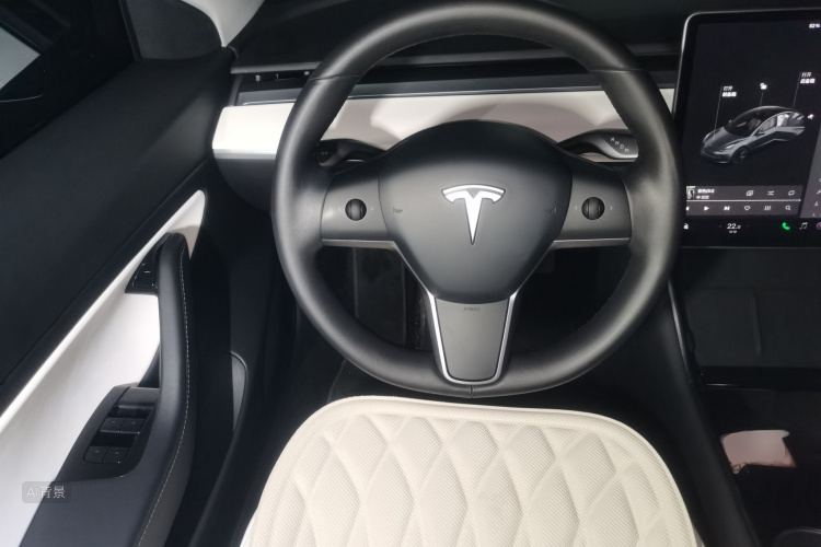 Tesla Model 3 2020 car image #12