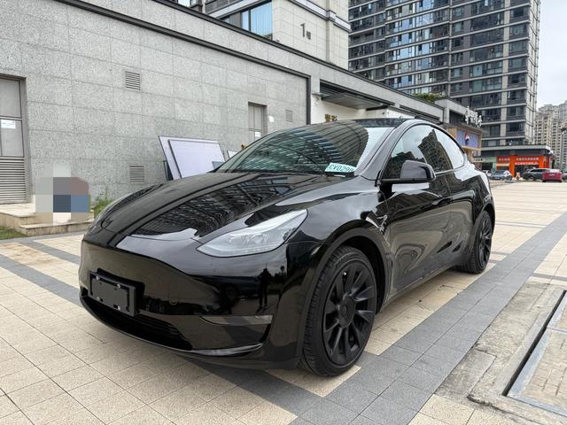 Tesla Model Y 2021 #16 Tesla Model Y 2021 car image #16