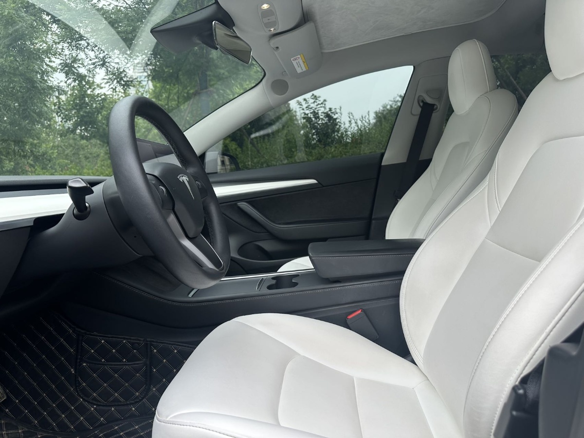 Tesla Model 3 2021 #4 Tesla Model 3 2021 car image #4