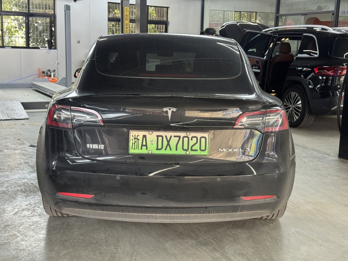 Tesla Model 3 2021 car image #8