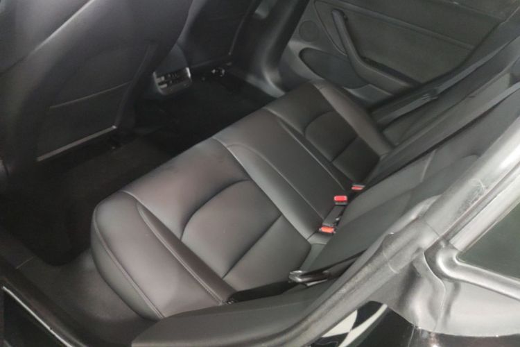 Tesla Model 3 2021 #17 Tesla Model 3 2021 car image #17