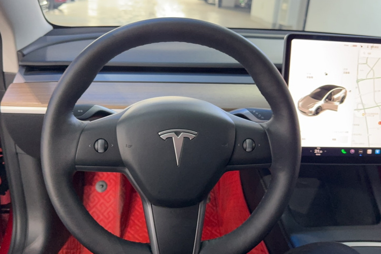 Tesla Model 3 2021 #11 Tesla Model 3 2021 car image #11