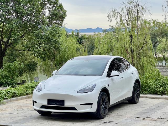 Tesla Model Y 2024 #16 Tesla Model Y 2024 car image #16