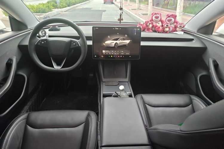 Tesla Model 3 2024 #7 Tesla Model 3 2024 car image #7