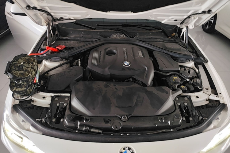 BMW 3 Series 2017 #20 BMW 3 Series 2017 car image #20