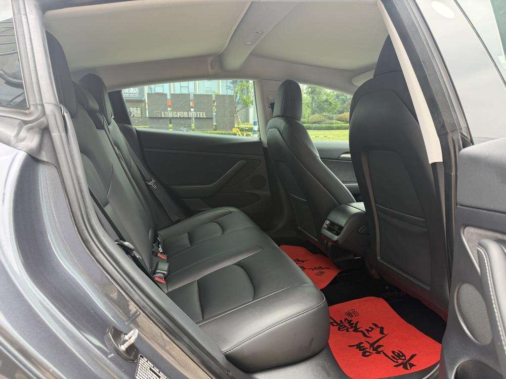 Tesla Model 3 2021 car image #14