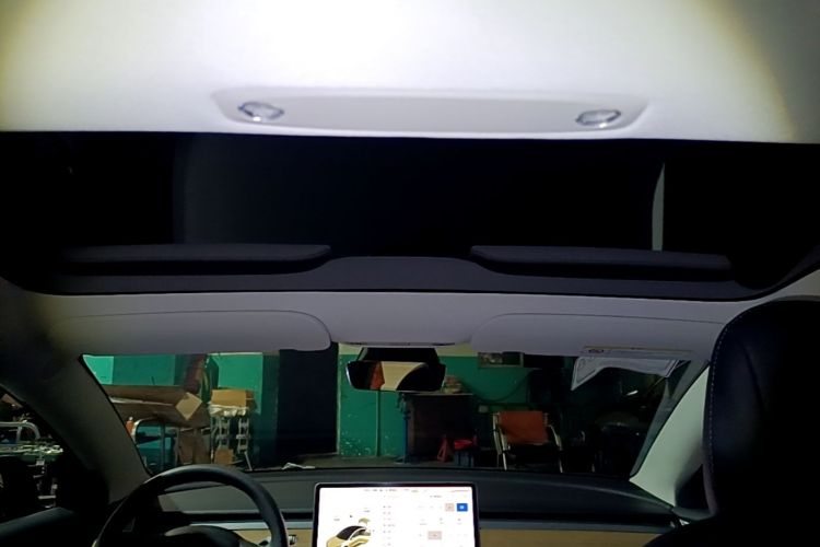 Tesla Model 3 2021 #20 Tesla Model 3 2021 car image #20