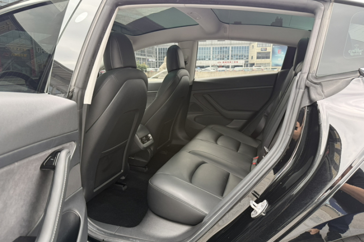 Tesla Model 3 2020 car image #17