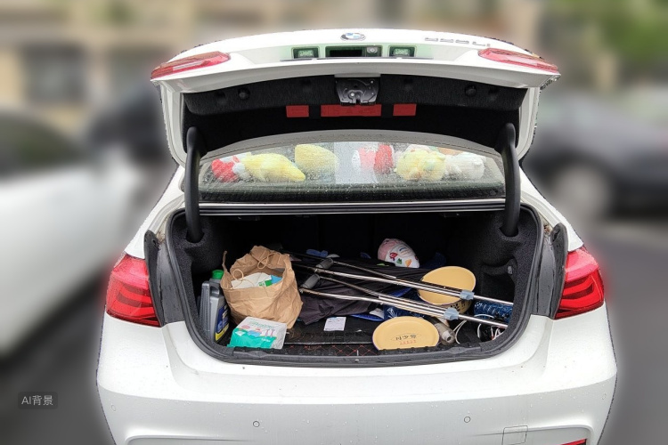 BMW 3 Series 2018 car image #21