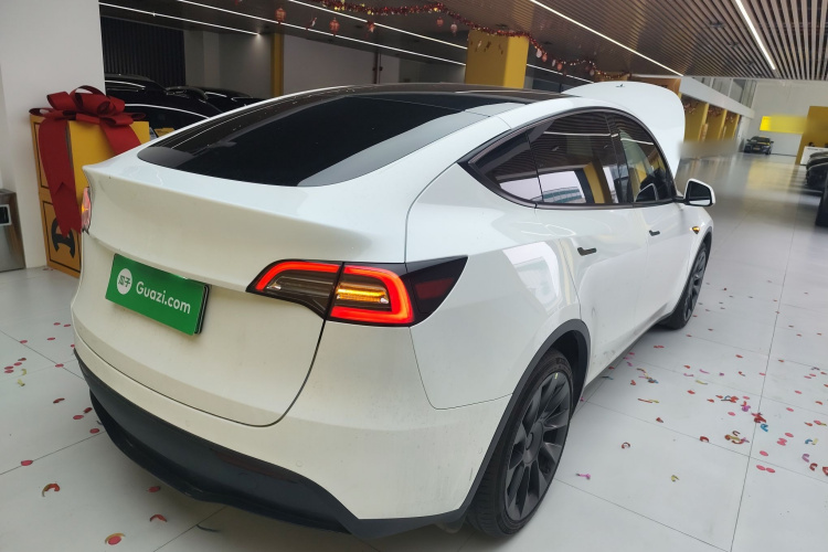 Tesla Model Y 2023 car image #5