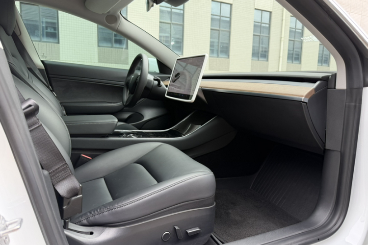 Tesla Model 3 2020 car image #19