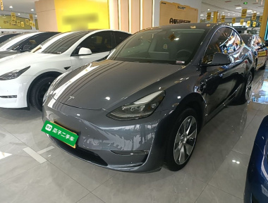 Tesla Model Y 2021 Tesla Model Y 2021 car image