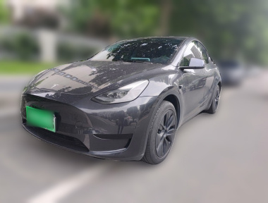 Tesla Model Y 2024 car image 